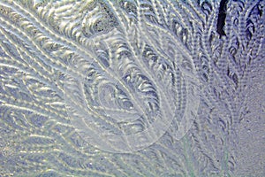 Frosty pattern on the window.