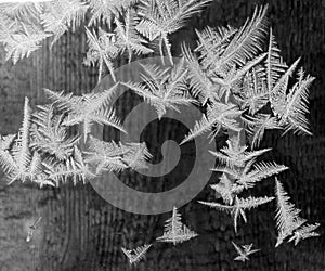 Frosty pattern on winter window close up