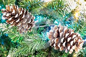 Frosty Pine Cones Hanging From Evergreen Branches. Snowy Fir Branches With Snow. Holiday background of Christmas tree branche