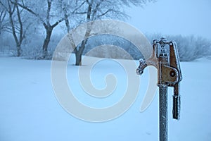 Frosty Rural Water Pump