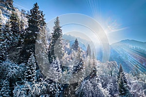 A frosty and sunny day is in mountains, view from above