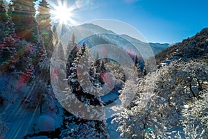 A frosty and sunny day is in mountains, view from above