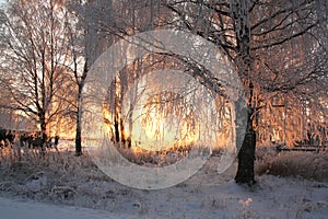 Frosty sunset in the village