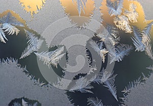 Frosty tracery photo