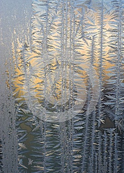 Frosty tracery photo