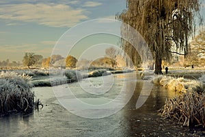 Frosty Tranquility : Winter Scenery at Bushy Park, Teddington photo