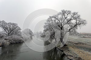 Frosty trees along the river Sajo on a winter day