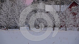 Frosty trees and old red homestead in winter