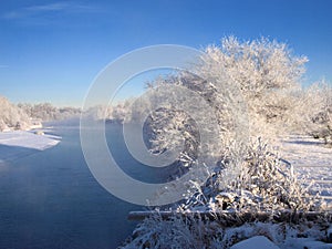 Frosty white trees by river