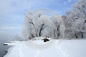 Frosty winter day on river