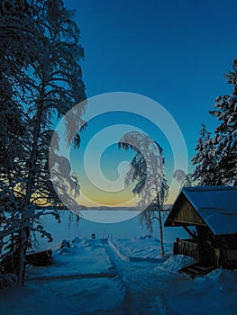 Frosty winter evening, forest covered with snow