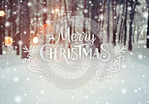 Frosty winter landscape in snowy forest. Christmas background with fir trees and blurred background of winter with text