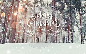 Frosty winter landscape in snowy forest. Xmas background with fir trees and blurred background of winter with text