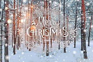 Frosty winter landscape in snowy forest. Xmas background with fir trees and blurred background of winter with text