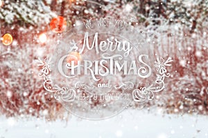 Frosty winter landscape in snowy forest. Xmas background with fir trees and blurred background of winter with text