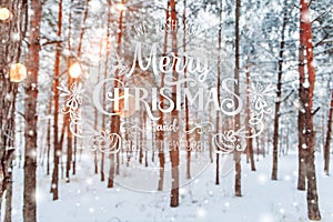 Frosty winter landscape in snowy forest. Xmas background with fir trees and blurred background of winter with text