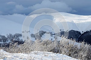 Frosty winter morning at Gemba mountain, Carpathians,Ukraine photo