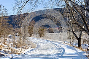 Frosty winter morning in nature, warm morning light on the background of snow, shrubs and trees in patterns of frost.