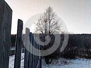Frosty winter morning, view of a fence and a frozen tree