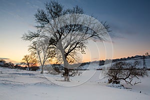 Frosty winter in Russia. Beautiful sunrise in Siberia.