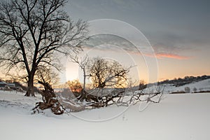 Frosty winter in Russia. Beautiful sunrise in Siberia.