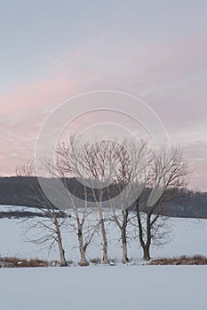 Frosty winter in Russia. Beautiful sunrise in Siberia.