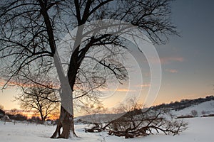 Frosty winter in Russia. Beautiful sunrise in Siberia.