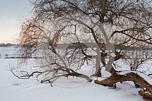 Frosty winter in Russia. Beautiful sunrise in Siberia.