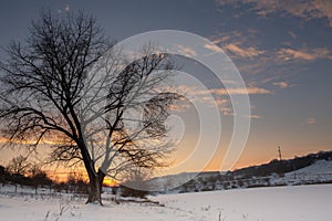 Frosty winter in Russia. Beautiful sunrise in Siberia.