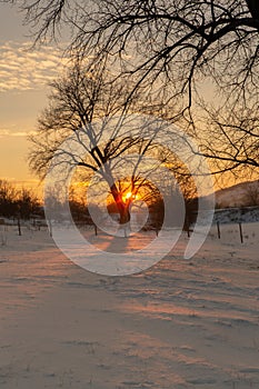 Frosty winter in Russia. Beautiful sunrise in Siberia.