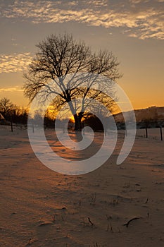 Frosty winter in Russia. Beautiful sunrise in Siberia.