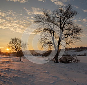 Frosty winter in Russia. Beautiful sunrise in Siberia.