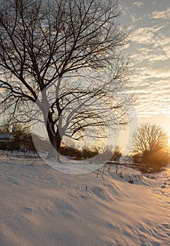 Frosty winter in Russia. Beautiful sunrise in Siberia.