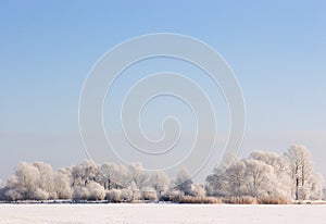 Frosty winter scene under blue sky