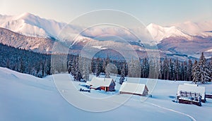 Frosty winter sunrise in Carpathian mountains with snow covered fir trees. Splendid outdoor panorama, Happy New Year celebration