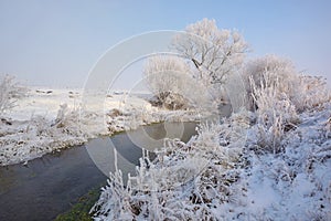 Frosty winter trees on countryside