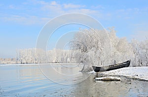 Frosty winter trees near Danube river