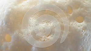 Froth on the surface of beer