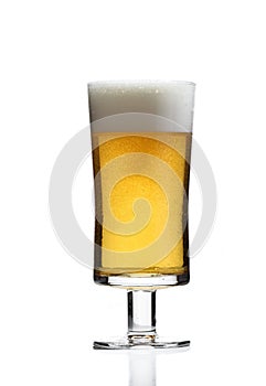 Frothy light beer in glass in white studio