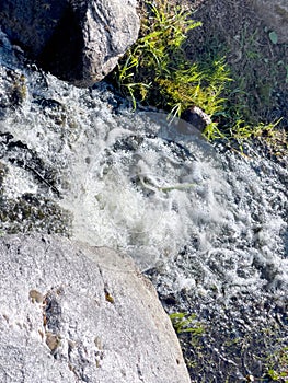 Frothy water in a waterfall with rocks and grass