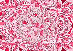 Frower pink design background paint