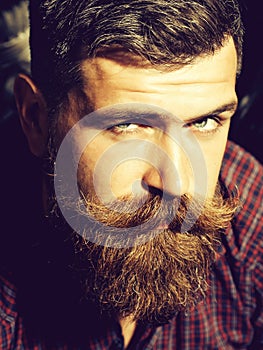 Frown bearded man hipster