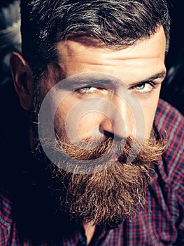 Frown bearded man hipster