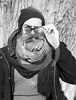 Frown bearded man, hipster, with beard and moustache in hat, scarf looks from under black sunglasses covered with white