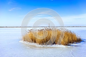 Froze the lagoon Kalochori in Greece