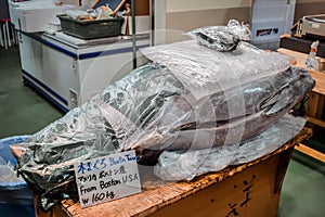 Frozen 60 kg BlueFin Tuna from Boston USA sold at the Tsukiji morning fish market in Tokyo Japan