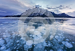 Frozen Abraham Lake with rocky mountains and natural bubbles frost in the morning on winter at Banff national park