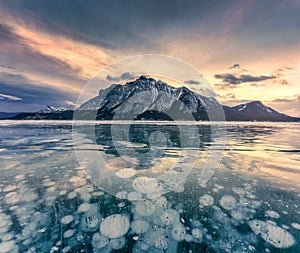 Frozen Abraham Lake with rocky mountains and natural bubbles frost in the morning on winter at Banff national park