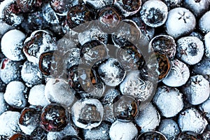 Frozen aronia berries in a bowl