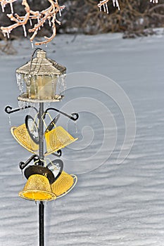 Frozen backyard bird feeder